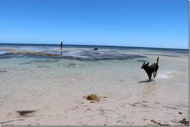 Beachside Holiday Park Normanville Buitenkant foto